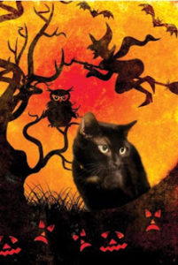Ed Boks and Halloween cat