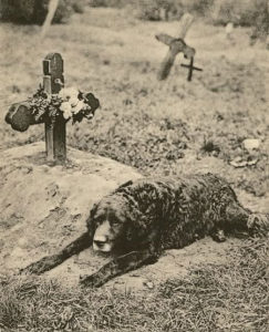 Ed Boks and dog on grave