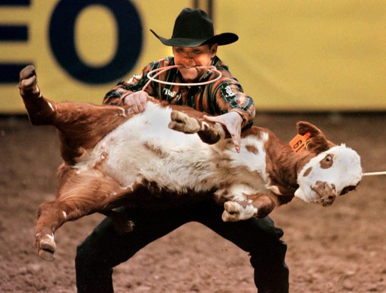 Rodeo Legalized Cruelty by Ed Boks Ed Boks Consulting